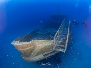 Das Bug des Wrack der Karwella auf Gozo. Zwei Taucher erkunden das Wrack, vor dem Bug ist ein Schwarm kleinerer Fische, die am Wrack Schutz vor Fressfeinden suchen.