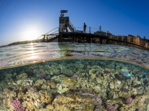 Halb-und-Halb Aufnahme, aufgenommen in der Nähe von Sharm-el-Scheich. Personen auf dem Steg beochachen den Sonnenuntergang, während bunte Riffische über die Korallen unter der Oberfläche schwimmen