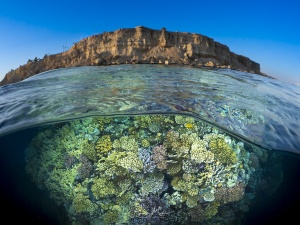 Halb-und-halb Aufnahme eines Korallenblocks unter der Oberfläche, darüber eine Klippe am Platz Ras Kati in der Nähe von Sharm-el-Scheich. Das Gesunde Riff mit unterschiedlichen Hartkorallen steht im wunderbaren Kontrast zu den Kargen Felsen oberhalb des Wasser